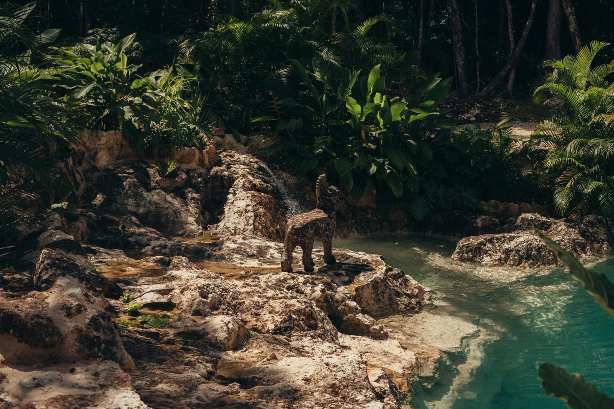 Amaite Retreat Tulum 호텔 Macario Gomez 외부 사진